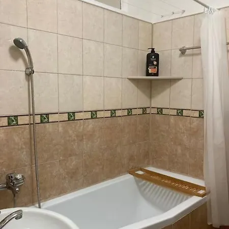 Blizko Centra Piest'any